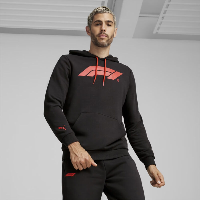 F1 ESS MENS LOGO HOODY - black