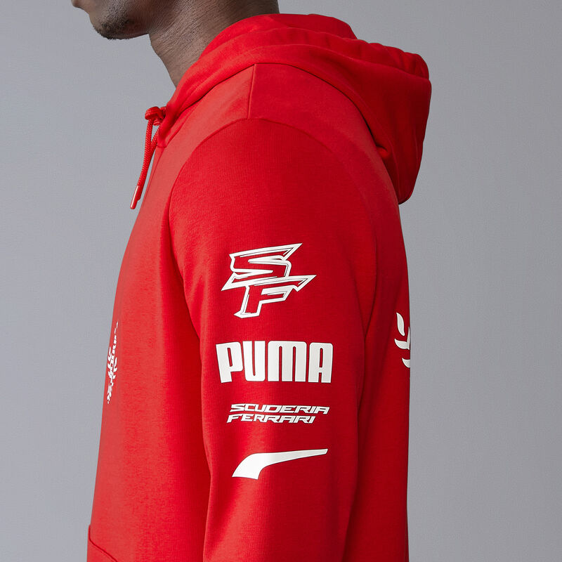 SF FW MENS GRAPHIC HOODY - red
