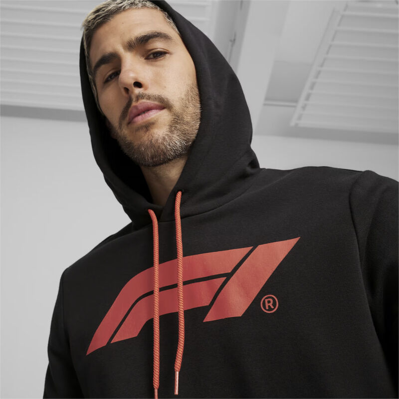 F1 ESS MENS LOGO HOODY - black